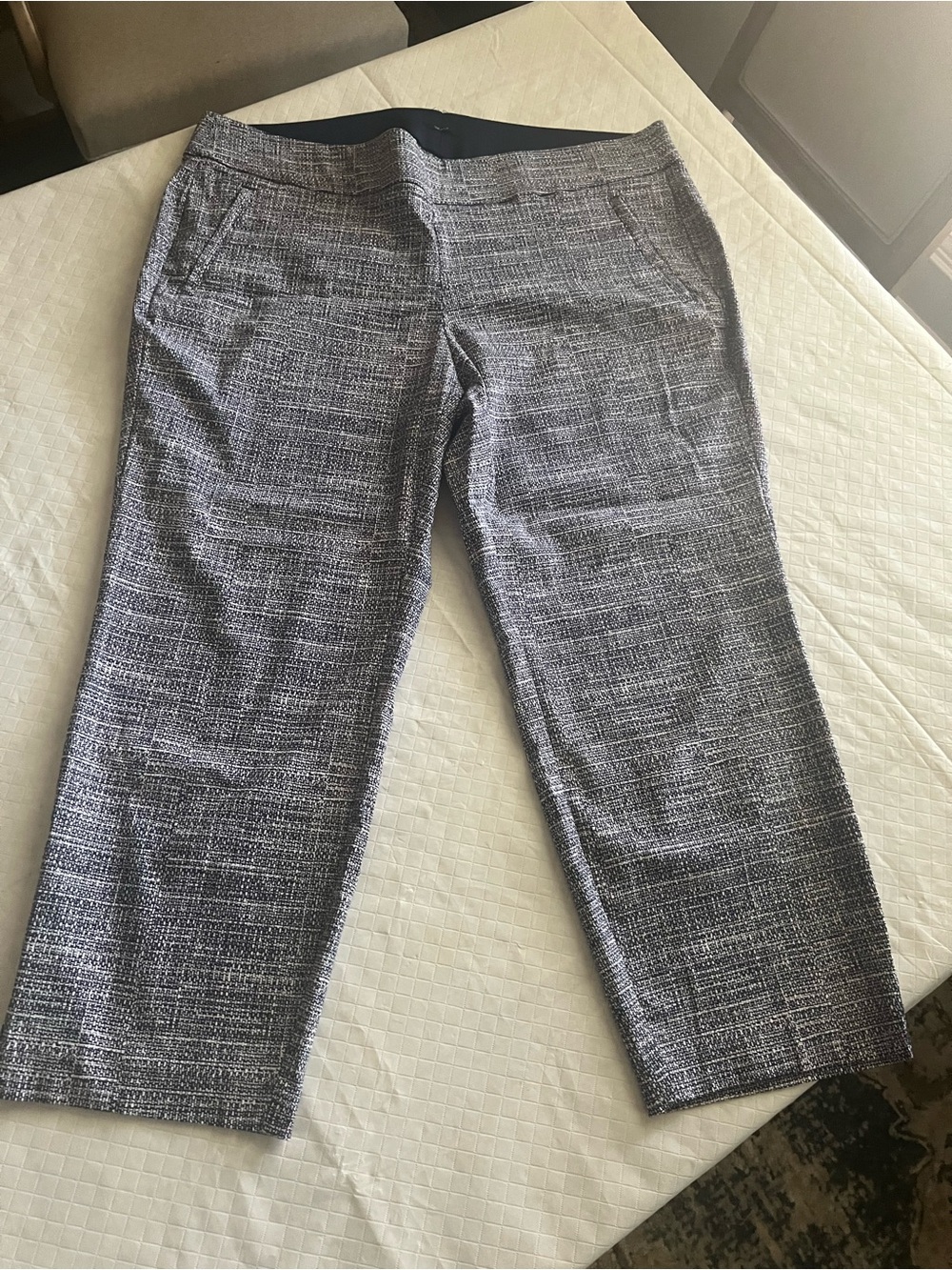 Lane Bryant Blue and White Tweed Cropped Pants